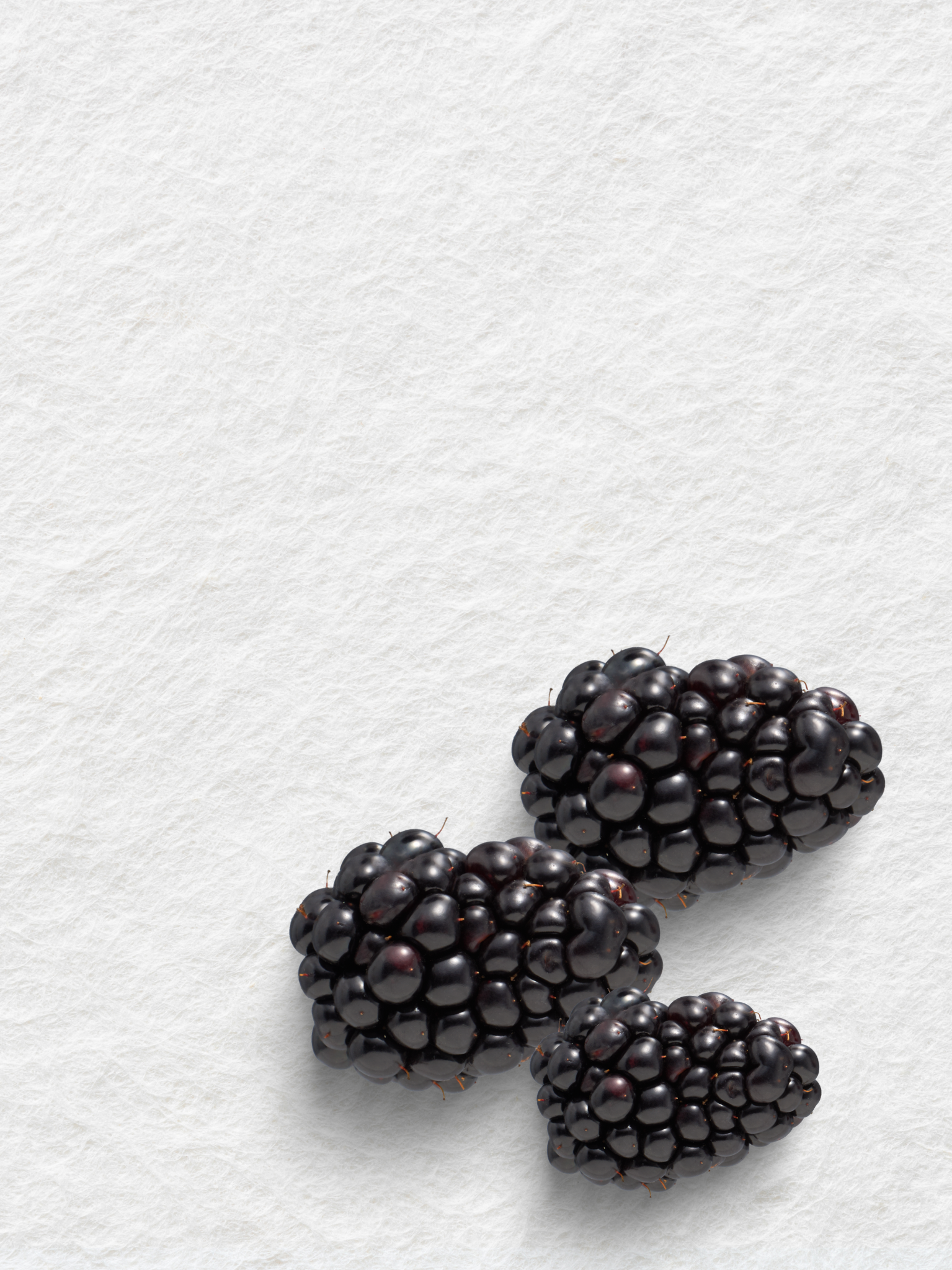 BLACKBERRY BODY AND HAND WASH REFILL